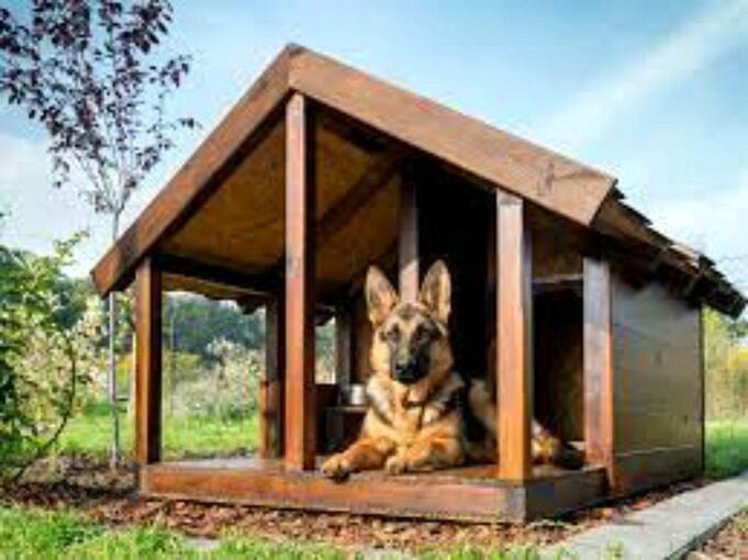 12 Beste Indoor Hondenhekken Mei 2021. Beoordelingen - The Goody Pet