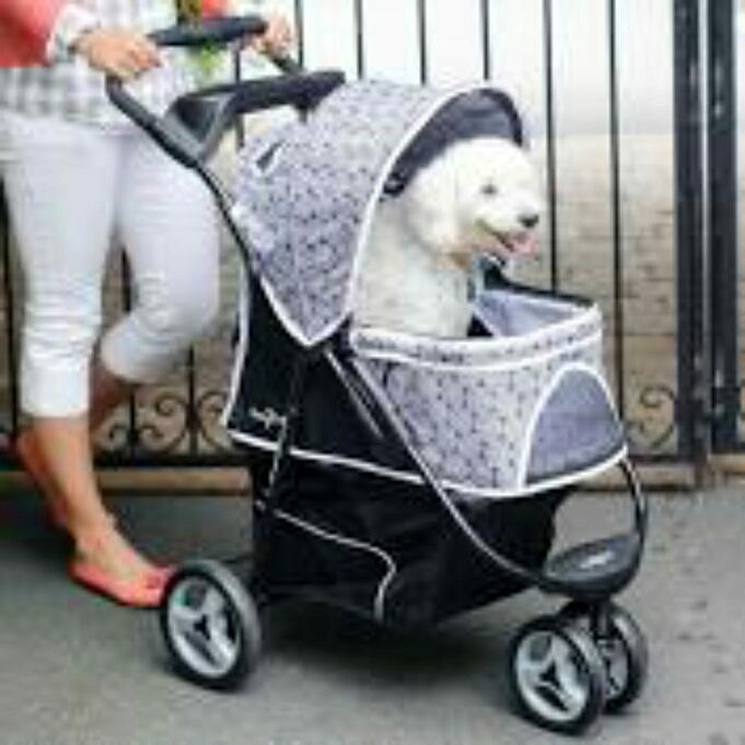 De Gen7Pets Promenade-kinderwagen Voor De Middelgrote Hond Over De Stad